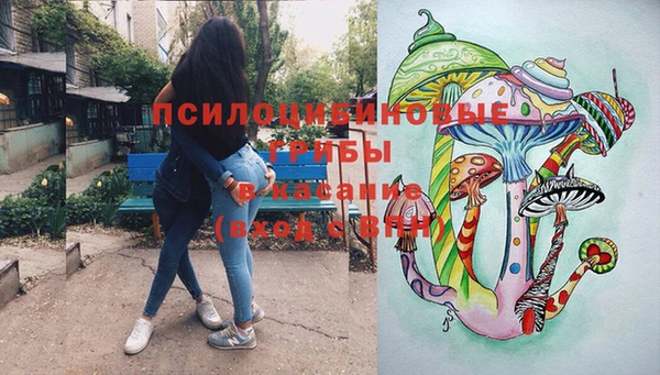 гашик Балабаново