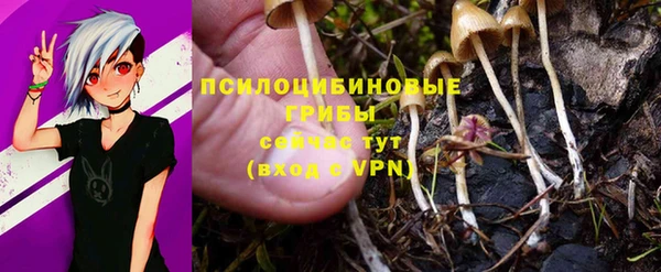 гашик Балабаново