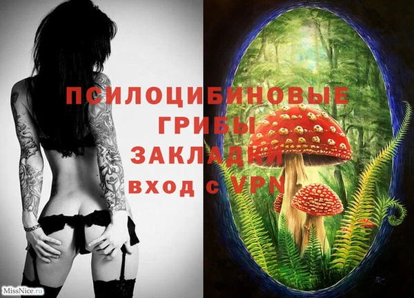гашик Балабаново