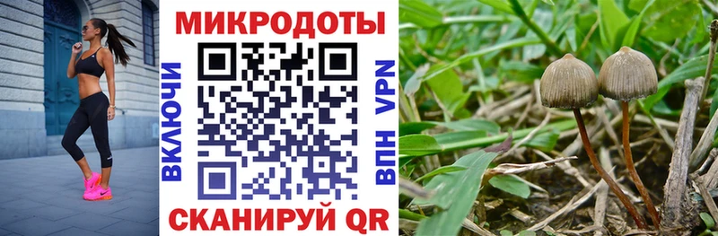 Галлюциногенные грибы Cubensis  Билибино 